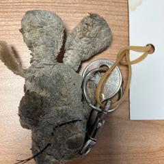 Sleutels, amint azt Connexxion Amstelland-Meerlanden Schiphol Zuid az iLost segítségével jelentette.