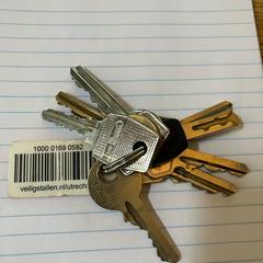 sleutelbos がiLostに報告されました