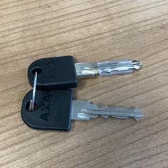 열쇠 & 자전거 열쇠, iLost를 사용하여 Connexxion Amstelland-Meerlanden Schiphol Zuid에 보고됨