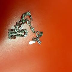 Eskumuturra, gisa salatu by UvA REC iLost erabiliz