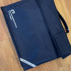 Bag, as reported by HTM using iLost