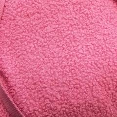 Bag Roze, as reported by Qbuzz Fryslân using iLost