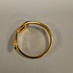 İLost kullanarak Vrije Universiteit Amsterdam tarafından bildirildiği gibi Yüzük