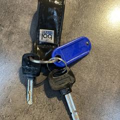 Sleutelbos, iLost-i jakinarazi zaion moduan