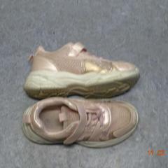 Topánka roos, ako bolo nahlásené Gemeente Leopoldsburg pomocou iLost