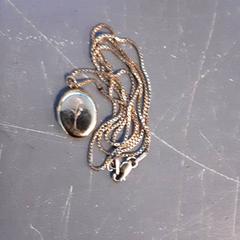 Náhrdelník, jak nahlášeno Diergaarde Blijdorp pomocí iLost