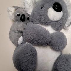 Peluxea, gisa salatu by Connexxion Haarlem IJmond iLost erabiliz