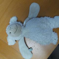 Xoguete, segundo informou Carlton Beach Hotel usando iLost