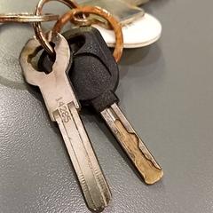 Sleutelbos, zoals gemeld door Qbuzz GD Groningen HS met iLost