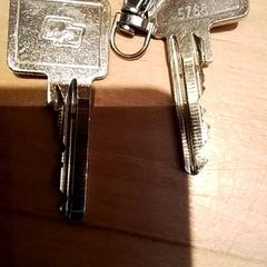 Sleutels, zoals gemeld door Beekse Bergen Resorts en Hotel met iLost