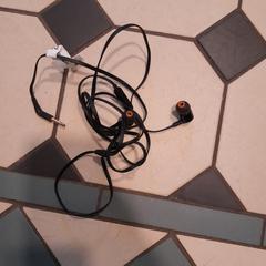 Oortjes, como reportado por Hortus Botanicus Amsterdam utilizando o iLost