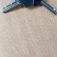 Sleutels 2 stuk, segundo informou Regio Limburg - Leuven usando iLost