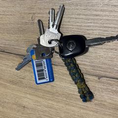 Sleutelbos, amint azt az iLostnak jelentették.