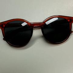 Sonnenbrille Bruin, gemeldet von Burgers' Zoo über iLost