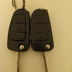 Car keys, iLost에 보고됨