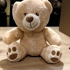 Medvídek mazlivý, jak nahlášeno Van der Valk Hotel Vianen pomocí iLost