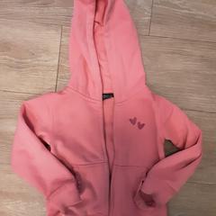 Kinder vestje, as reported by Diergaarde Blijdorp using iLost