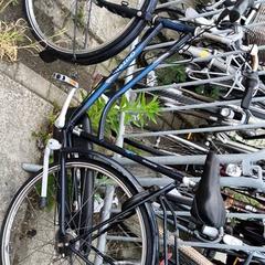 Bicicleta femenina Gazelle, segons ha informat Stadswerk072 mitjançant iLost