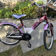 Roze Kinderfiets, amint azt az iLostnak jelentették.