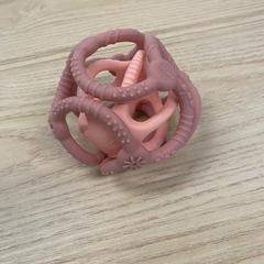 Rassel rose, gemeldet von IKEA Liège über iLost