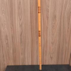 Bastón, segundo informou Rotterdam The Hague Airport usando iLost