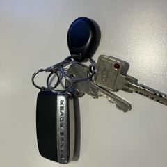 Chiavi zwart, come riportato da Gemeente Meierijstad utilizzando iLost