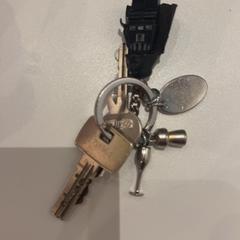 Chiave, come riportato da Pathé de Kuip utilizzando iLost