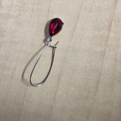 Oorbel, zoals gemeld door Haaglanden Medisch Centrum met iLost