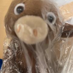 Przytulanka Koe, zgłoszono przez Familie Resort Molenwaard przy użyciu iLost