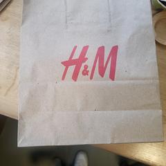 حقيبة حمل H&M، كما تم الإبلاغ عنه بواسطة Hortus عبر iLost