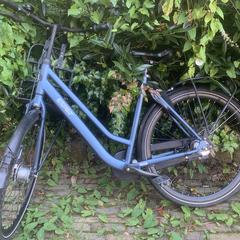 Fiets gazelle, som rapportert til iLost