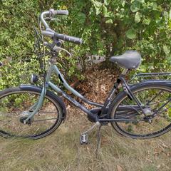 Grijs blauwe Batavus dames fiets, segons s'ha informat a iLost