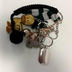 Portachiavi, come riportato da Arriva Limburg Zuid utilizzando iLost