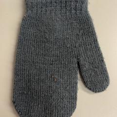 Guantes, ha sido reportado por Burgers' Zoo con iLost