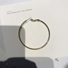 Goude ring oorbel, as reported by Van Gogh Museum using iLost