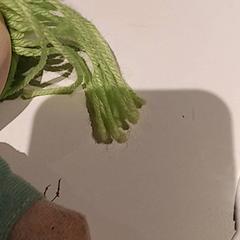 Knuffel, gisa salatu by De Efteling iLost erabiliz