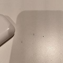 Airpod, gisa salatu by De Efteling iLost erabiliz