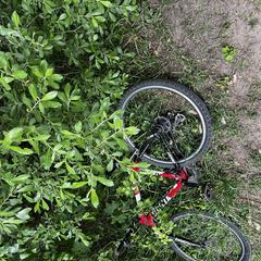 Mountainbike rood, iLost에 보고됨