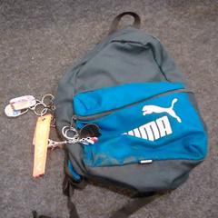 Motxilla, segons ha informat SnowWorld Landgraaf mitjançant iLost