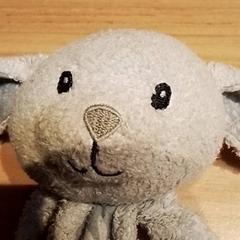 Babyknuffel, a été signalé par Beekse Bergen Resorts en Hotel utilisant iLost