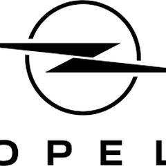 Bilnycklar Opel, rapporterat av Gemeente Barneveld med iLost