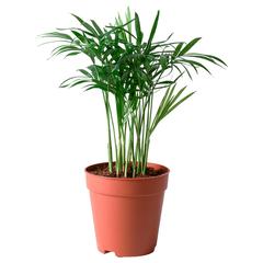IKEA product, as reported by IKEA Loulé using iLost