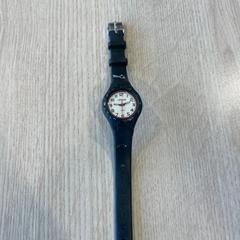 İLost kullanarak Van Heugten Tours tarafından bildirildiği gibi İzlemek zwart