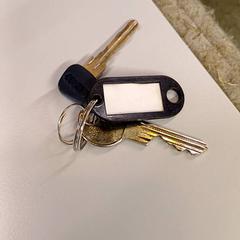 Sleutel, a été signalé par Heidelberglaan 7 utilisant iLost