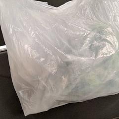 비닐 봉투, iLost를 사용하여 Breng Nijmegen에 보고됨