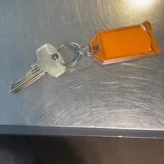 Sleutels, segundo informou Burgers' Zoo usando iLost