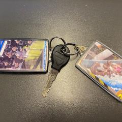 Sleutel, som rapportert av Gebo Tours ved bruk av iLost