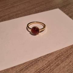 指輪 Goudkleurig met roodbruine steun がiLostで Van der Valk Hotel Haarlem によって報告されました