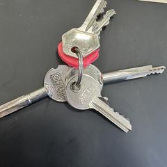 Sleutelbos, som rapportert til iLost