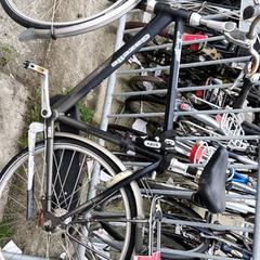 Men’s bike Gazelle, as reported by Stadswerk072 using iLost